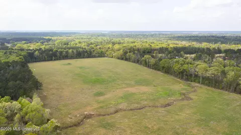 Pisgah Road, Brandon, MS 39047 photo 11