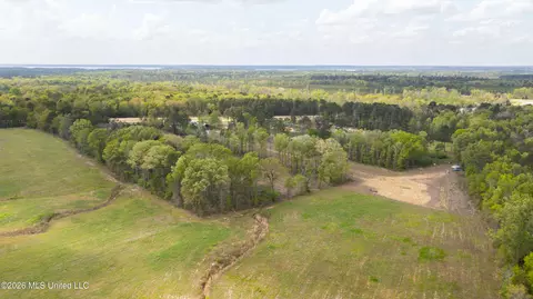 Pisgah Road, Brandon, MS 39047 photo 13