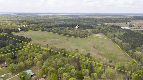 Pisgah Road, Brandon, MS 39047 photo 7