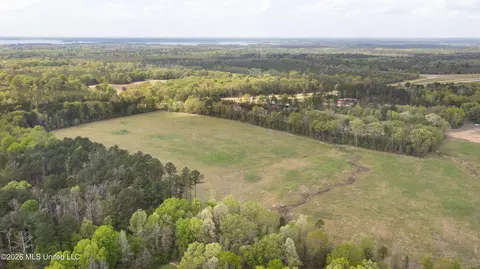 Pisgah Road, Brandon, MS 39047 photo 9