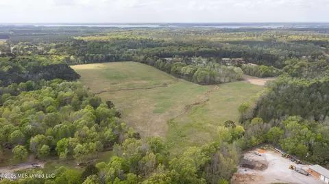 Pisgah Road, Brandon, MS 39047 photo 3