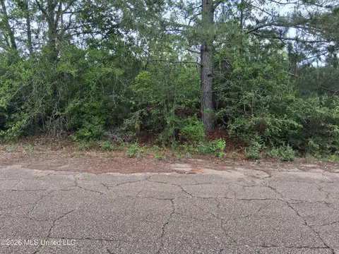 0 Ab Ladner Dr, Lumberton, MS 39455