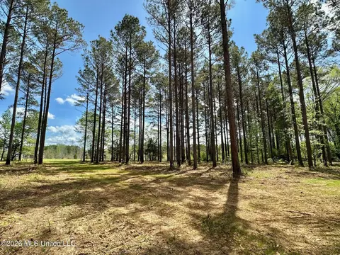 2 Morgan Rd, Canton, MS 39046 photo 5