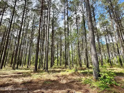 2 Morgan Rd, Canton, MS 39046 photo 6