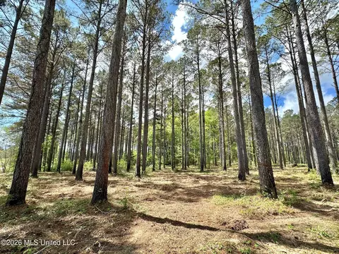 2 Morgan Rd, Canton, MS 39046