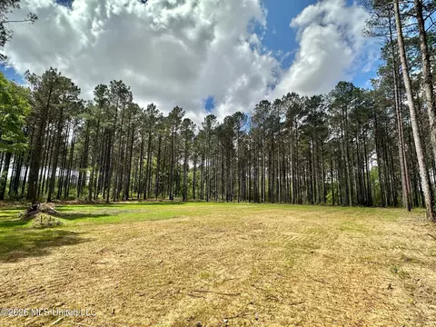 2 Morgan Rd, Canton, MS 39046 photo 4