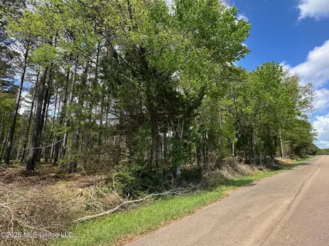 2 Morgan Rd, Canton, MS 39046 photo 10
