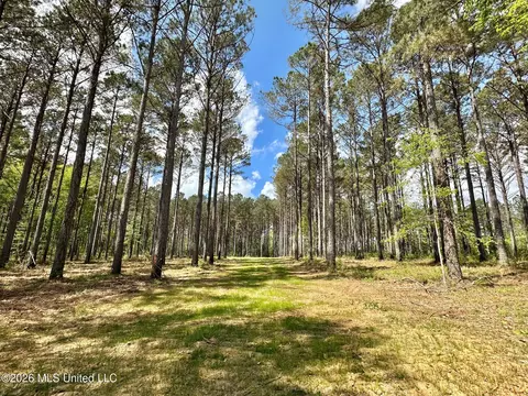 2 Morgan Rd, Canton, MS 39046 photo 3