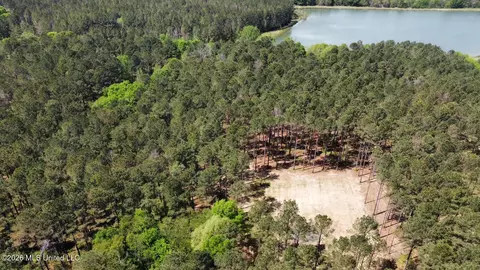 2 Morgan Rd, Canton, MS 39046 photo 13