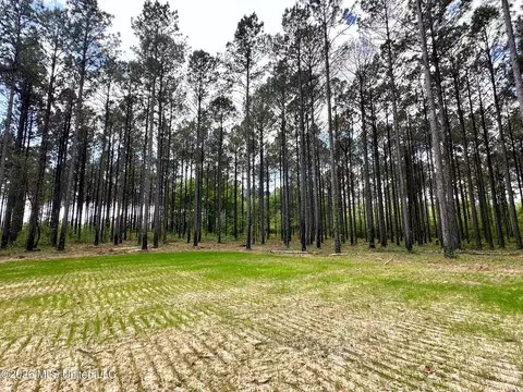 2 Morgan Rd, Canton, MS 39046 photo 8