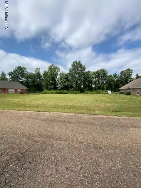 13 Sandy Cv # A, Clarksdale, MS 38614