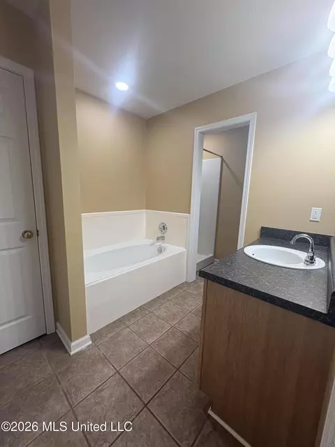Bath - 813 Whippoorwill Dr, Brandon, MS 39047 photo 5 of 6