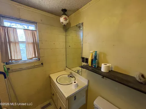 Bath - 8 County Road 529, Como, MS 38619 photo 5 of 6