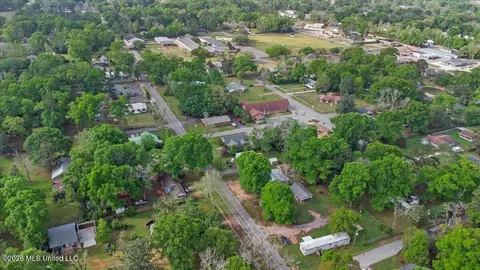 View/Area - 172 Holmes St, Lucedale, MS 39452 photo 4 of 5