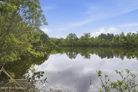 Chathaw Path, Smithdale, MS 39664 photo 38