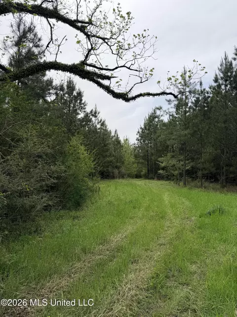 Chathaw Path, Smithdale, MS 39664 photo 10