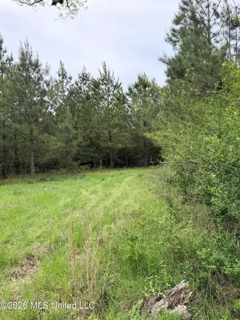 Chathaw Path, Smithdale, MS 39664 photo 10