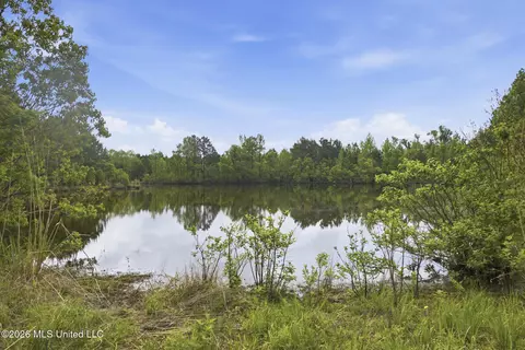 Chathaw Path, Smithdale, MS 39664 photo 37