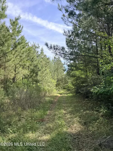 Chathaw Path, Smithdale, MS 39664 photo 17