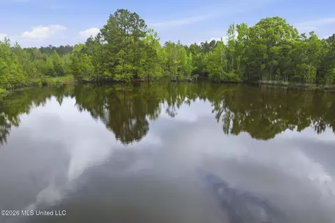 Chathaw Path, Smithdale, MS 39664 photo 47