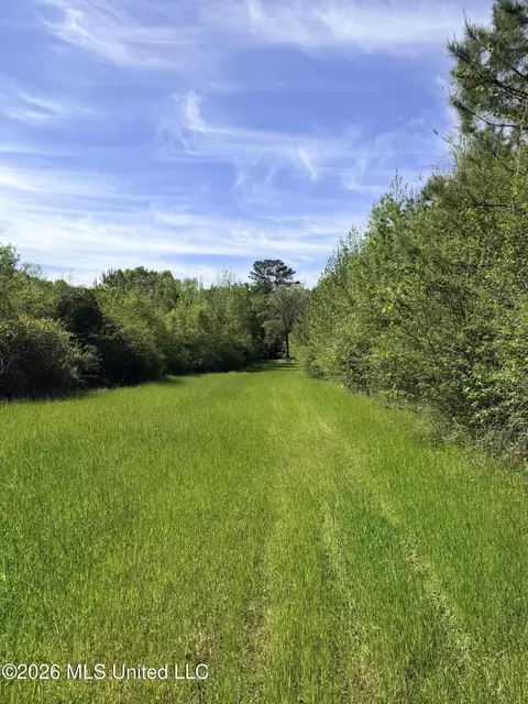 Chathaw Path, Smithdale, MS 39664 photo 35