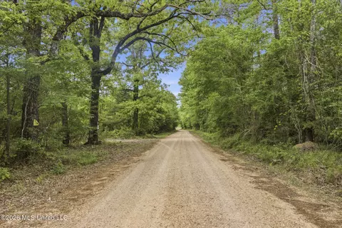 Chathaw Path, Smithdale, MS 39664 photo 40