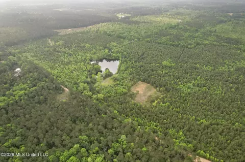Chathaw Path, Smithdale, MS 39664 photo 51