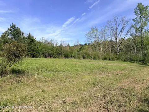 Chathaw Path, Smithdale, MS 39664 photo 24