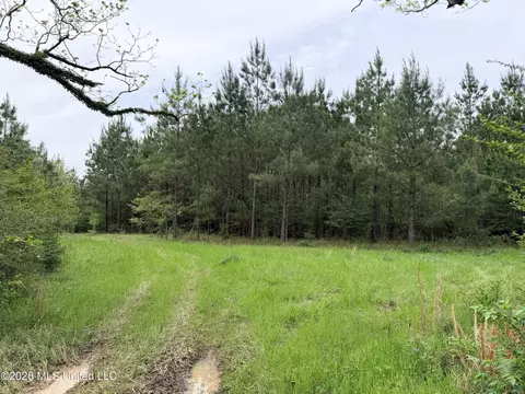 Chathaw Path, Smithdale, MS 39664 photo 9