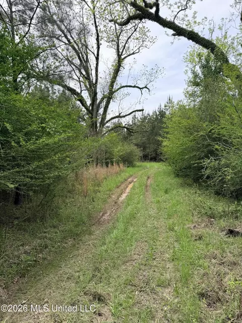 Chathaw Path, Smithdale, MS 39664 photo 3