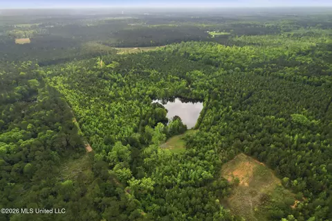 Chathaw Path, Smithdale, MS 39664 photo 50