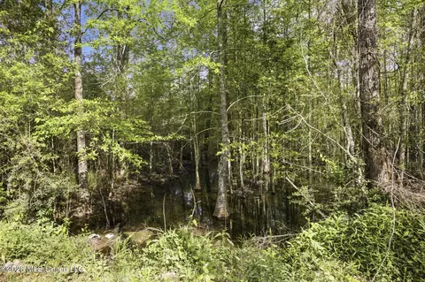 Chathaw Path, Smithdale, MS 39664 photo 41