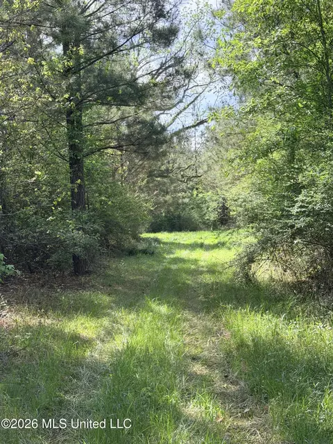 Chathaw Path, Smithdale, MS 39664 photo 27