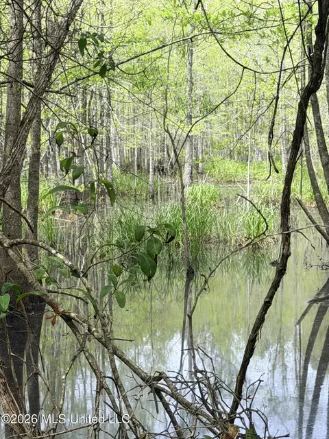 Chathaw Path, Smithdale, MS 39664 photo 13