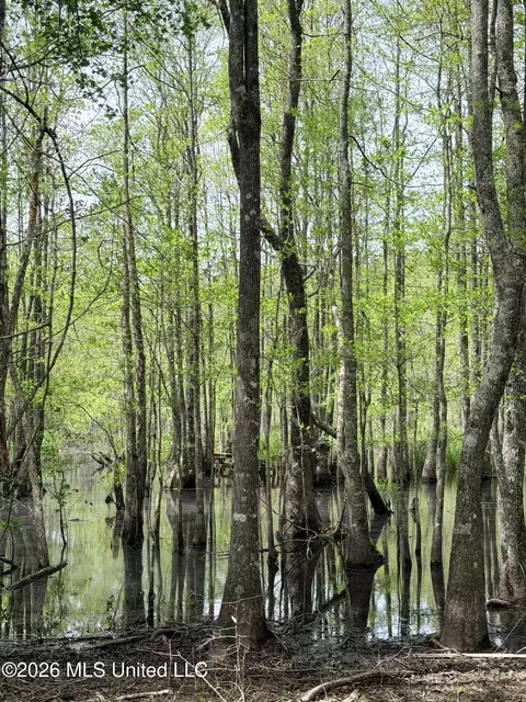 Chathaw Path, Smithdale, MS 39664 photo 7