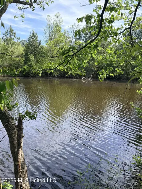 Chathaw Path, Smithdale, MS 39664 photo 21