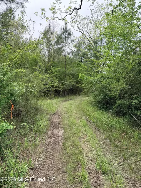 Chathaw Path, Smithdale, MS 39664 photo 2