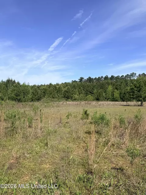 Chathaw Path, Smithdale, MS 39664 photo 20