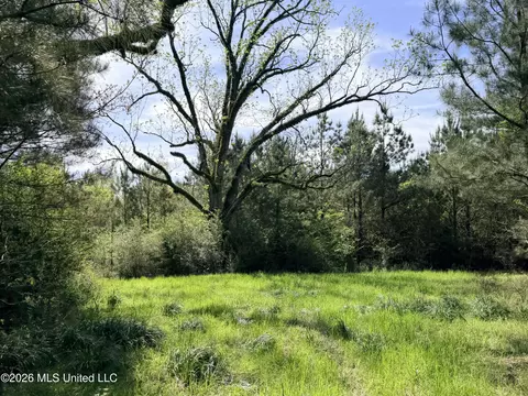 Chathaw Path, Smithdale, MS 39664 photo 28