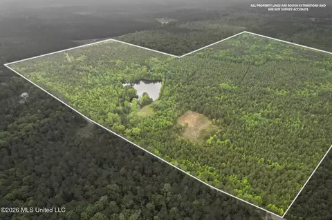 Chathaw Path, Smithdale, MS 39664 photo 52
