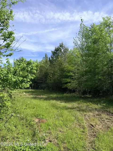 Chathaw Path, Smithdale, MS 39664 photo 15
