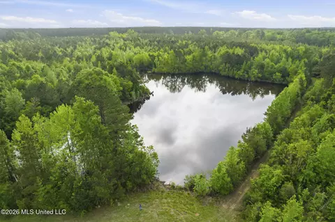 Chathaw Path, Smithdale, MS 39664 photo 49