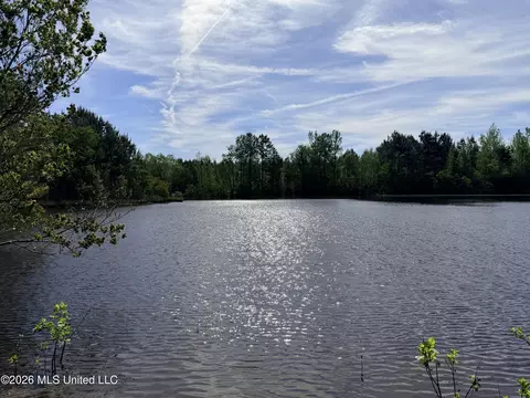 Chathaw Path, Smithdale, MS 39664