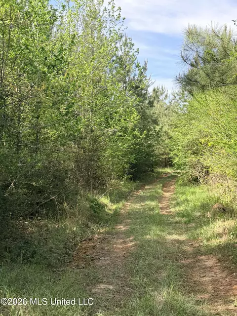 Chathaw Path, Smithdale, MS 39664 photo 29