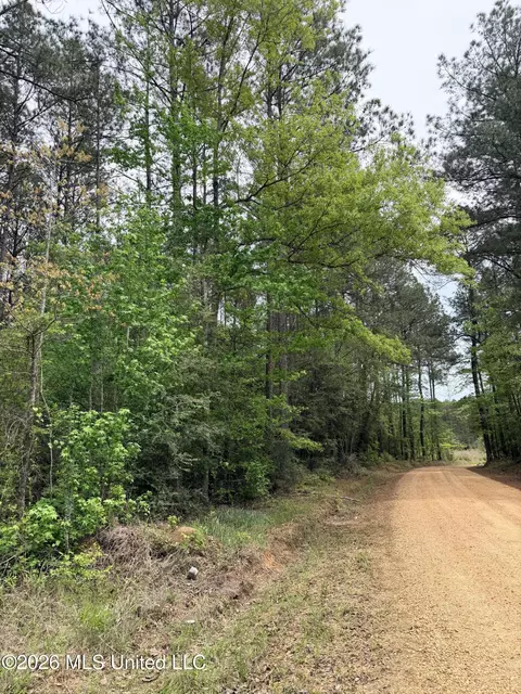 Chathaw Path, Smithdale, MS 39664 photo 11