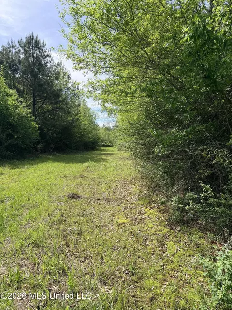 Chathaw Path, Smithdale, MS 39664 photo 16