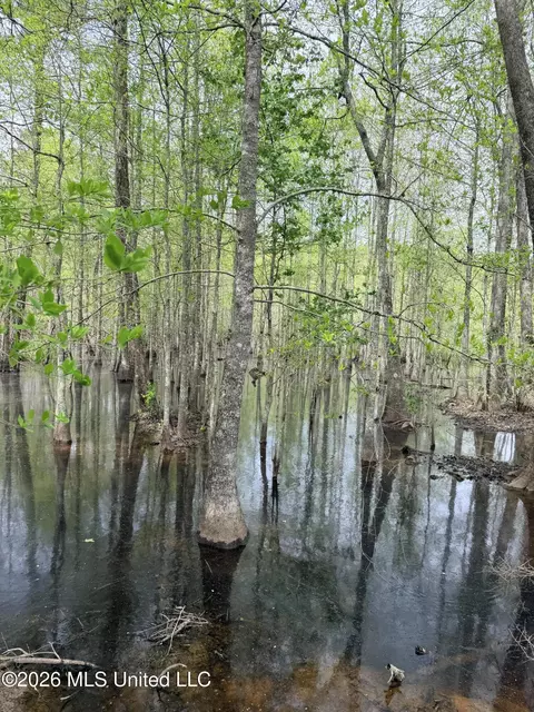 Chathaw Path, Smithdale, MS 39664 photo 8