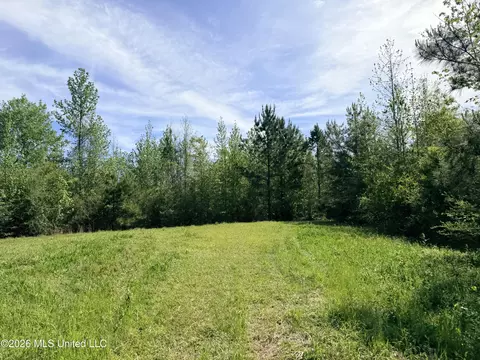 Chathaw Path, Smithdale, MS 39664 photo 33