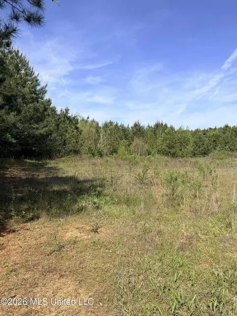 Chathaw Path, Smithdale, MS 39664 photo 19