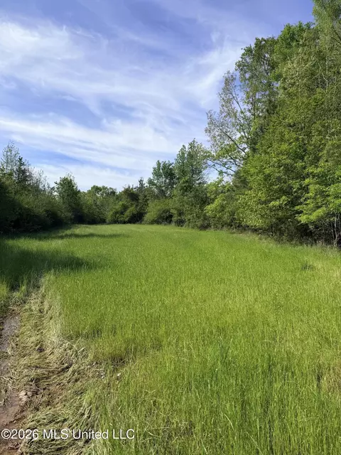 Chathaw Path, Smithdale, MS 39664